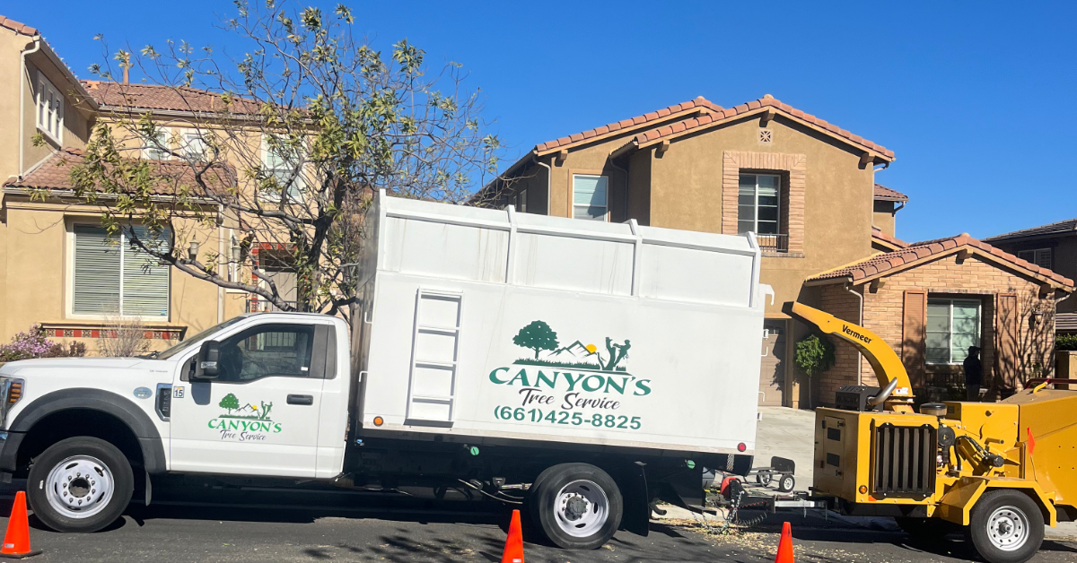 Tree Service Company